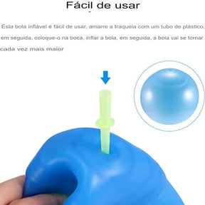 Bola Divertida Gigante Inflável